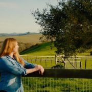 drug rehab santa rosa