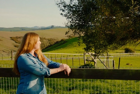 peaceful setting outside olympia house rehab